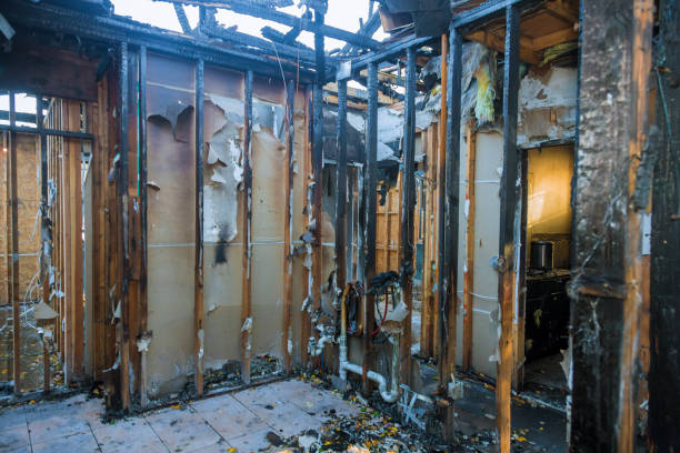 Professional Fire Damage Removal technician working in Barrington Hills, IL